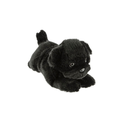 Puddles | Black Pug puppy