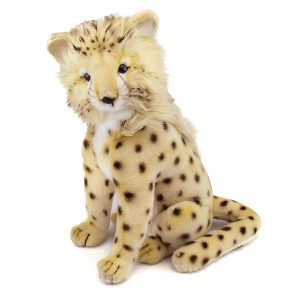 Zari Cheetah Cub