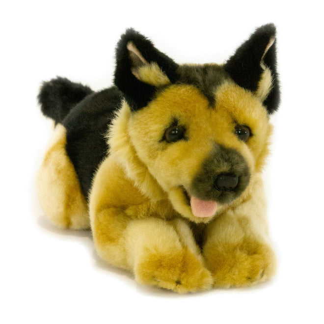 Chief | German Shepherd Puppy