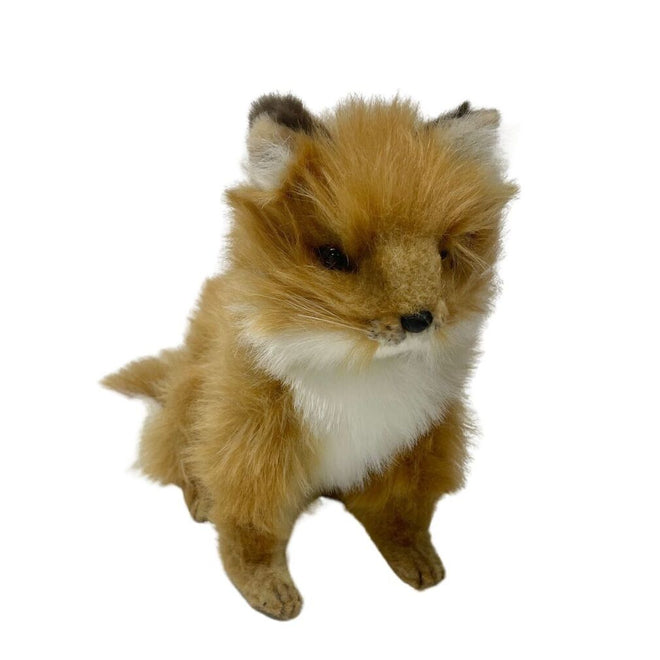 Ginger | Fox pup