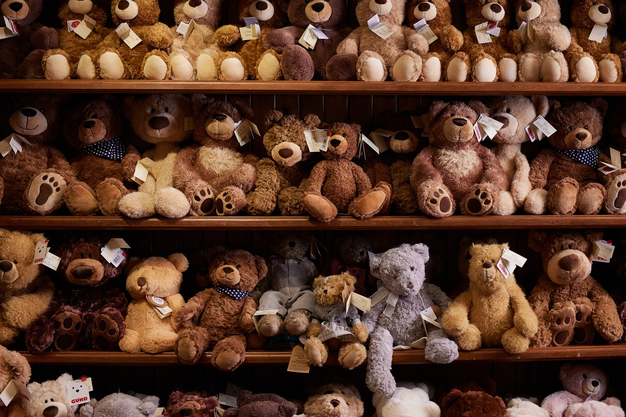 The Teddy Bear Shop Hobart