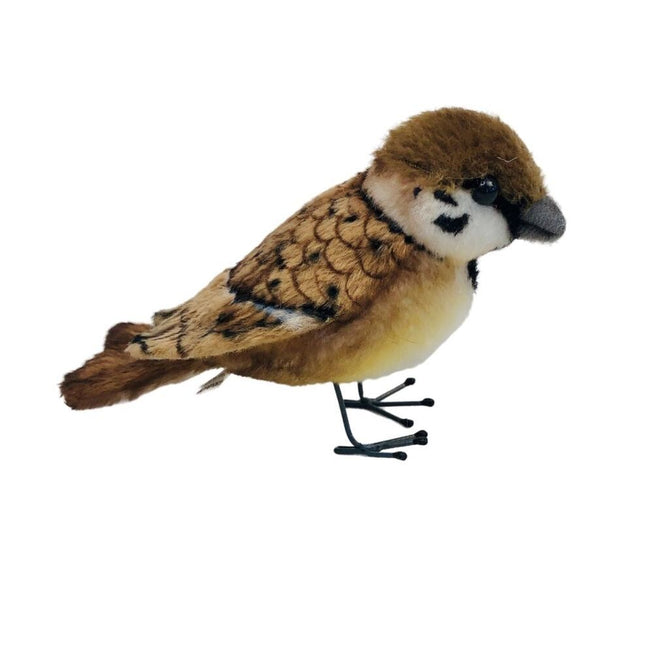 Helene tree sparrow