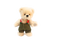 Miniature Teddy Llo