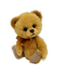 Teddy Bear Vincent