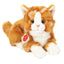 Bella | Red Tabby Cat