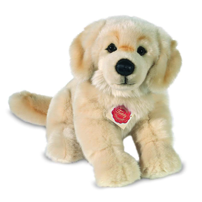 Nelly Golden Retriever