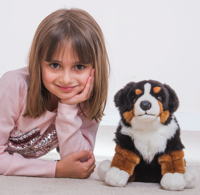 Jack Bernese Mountain Dog