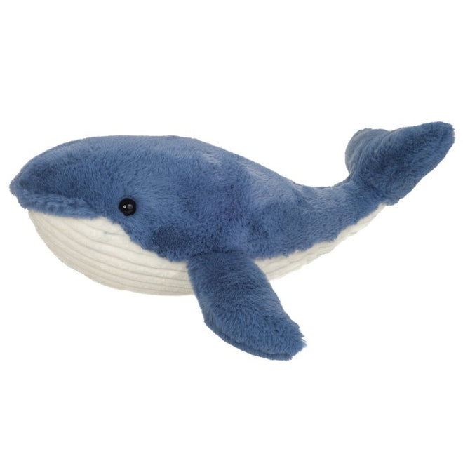 Walter | Whale