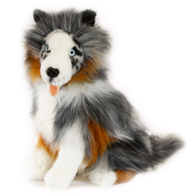 Oakley Australian Shepherd
