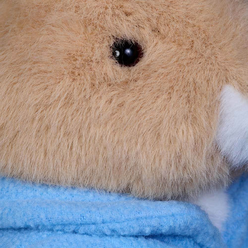 Peter Rabbit 25cm