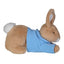 Peter Rabbit Lying 25cm
