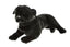 Bandit | Pug
