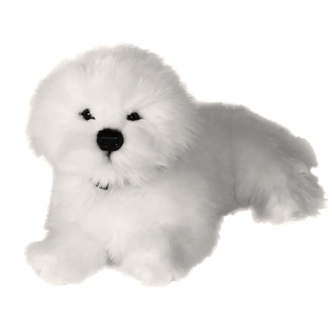 Annabelle | Bichon Frise