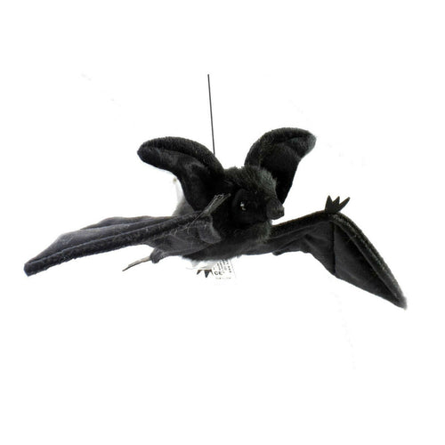 Benny | Black Bat