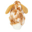Oreo | Ram Rabbit Light Brown