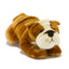 Brutus | Red and White Bulldog puppy