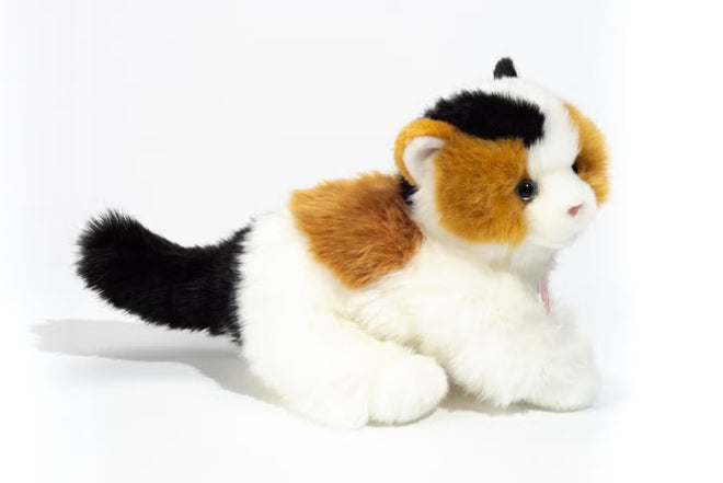 Marmalade | Calico Cat