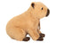 Spud | Capybara