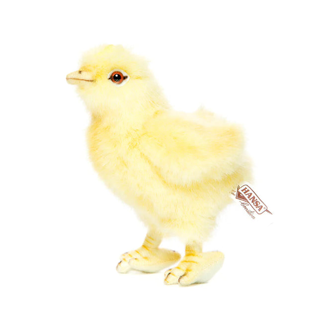 Edwina | Chick