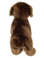 Snickers | Standing Chocolate Labrador Puppy