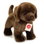 Snickers | Standing Chocolate Labrador Puppy