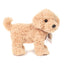 Perry | Cockapoo