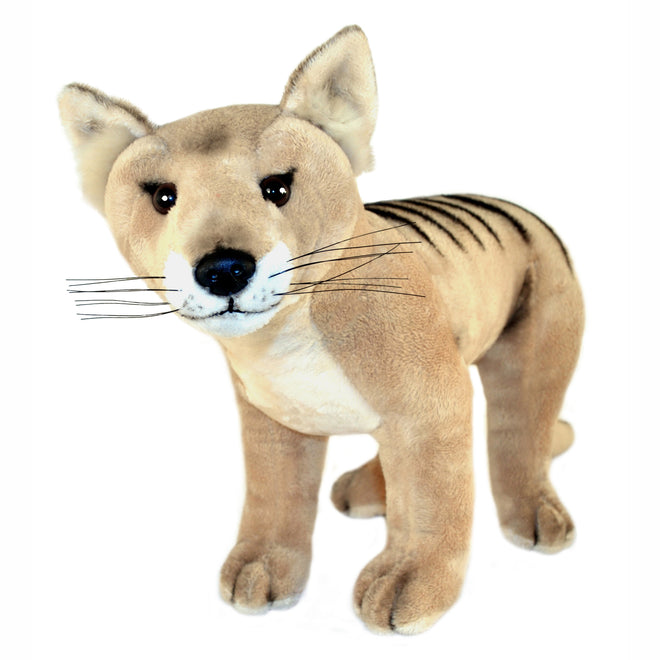 Cooper Tasmanian Tiger | large