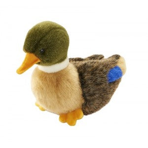 Mallory Baby Duck