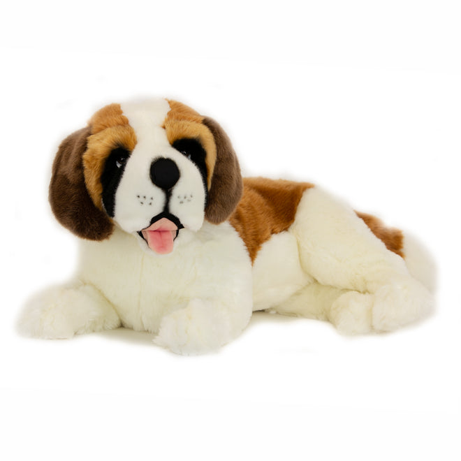 Fergie | Large Saint Bernard