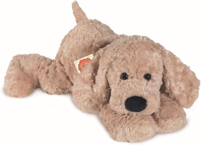 Charlie | Floppy dog