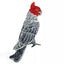 Skylar | Large Jointed Gang Gang Cockatoo