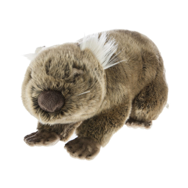 Georgina | Wombat