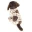 Whistles | German Pointer
