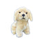 Chanel | Golden Retriever