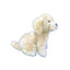 Chanel | Golden Retriever
