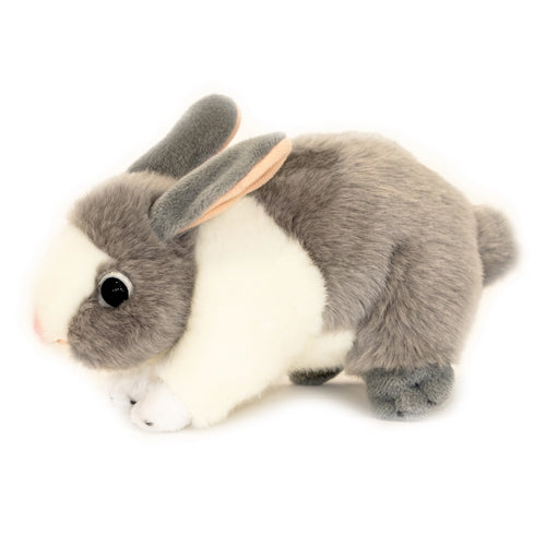 Buttons | Grey and White Dutch rabbit