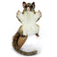 Emily | Brush Tail Possum Puppet