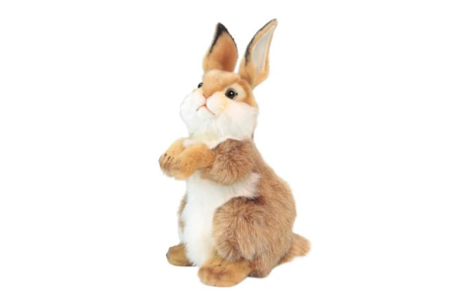 Alfie | Rabbit
