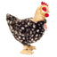 Harriet | Hen
