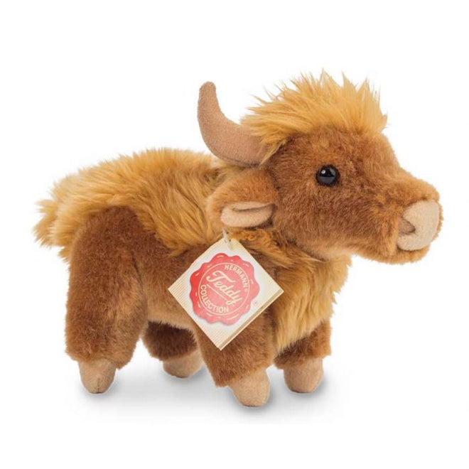 Nellie Highland Cow