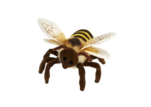 Darby | Honey Bee