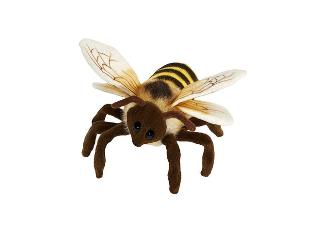 Darby Honey Bee