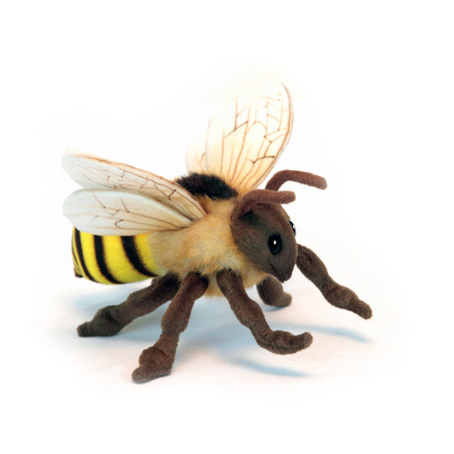 Darby Honey Bee
