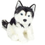 Skye | Husky