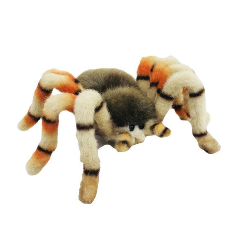 Webberley Jumping Spider