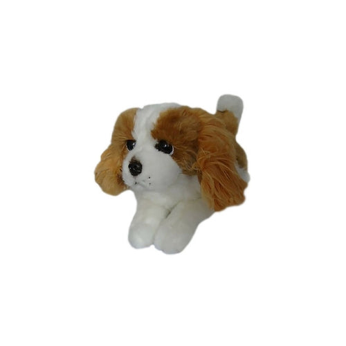 King Charles Cavalier Spaniel | small