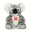 Hazel | Koala