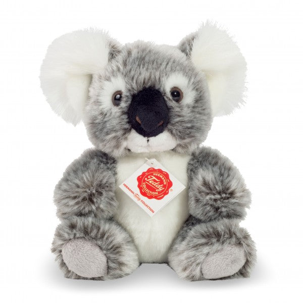 Hazel Koala