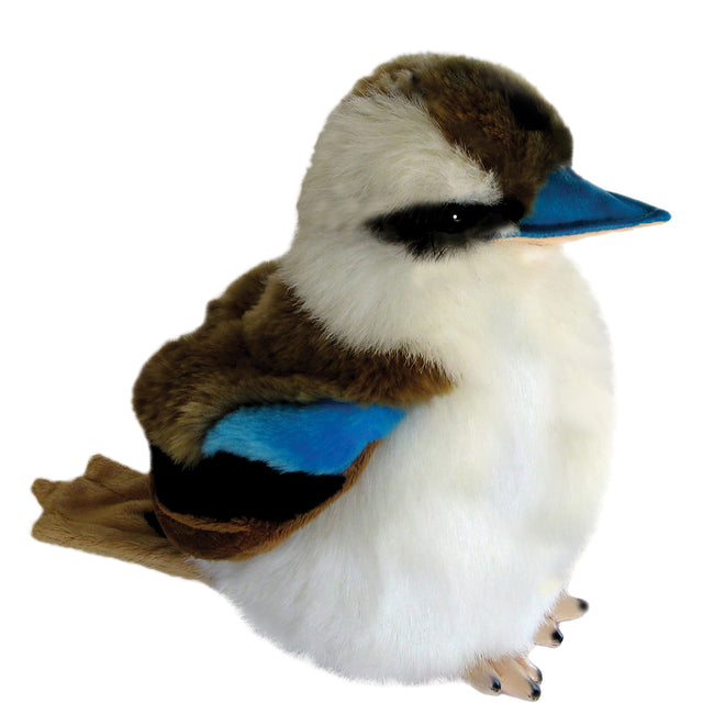 Hillary | Kookaburra