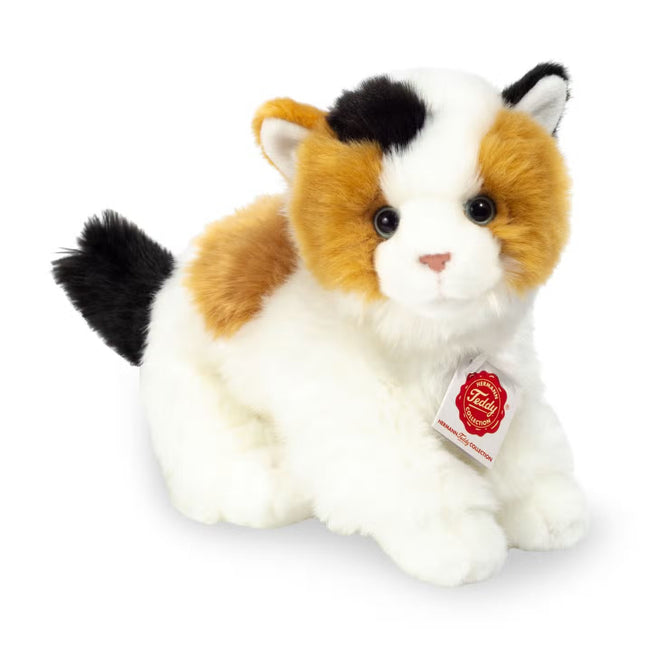 Marmalade | Calico Cat
